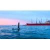 On May 1, the Port of Gulfport will implement continuous autonomous subsea surveillance, using Ocean Aero’s technology, the Triton AUSV. Credit: Ocean Aero