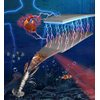 A Purdue team is transforming shrimp shell material into a functional device for generating electricity. (Image: Purdue University)