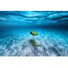 PXGEO’s MantaRay is a hovering autonomous underwater vehicle engineered to deploy and recover ocean bottom nodes with minimal impact to the ocean floor.
Source: PXGEO