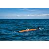 The Riptide UUV-12. Photo: BAE Systems