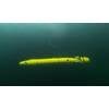 Underwater view of the AUV DeepLeng diving in the frozen lake Torneträsk during the Abisko field trials of the project EurEx-LUNa. © DFKI