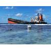 MV Wakashio ran aground on a coral reef off Mauritius, spilling 1000 tonnes of a new type of marine fuel oil, Image courtesy Curtin University