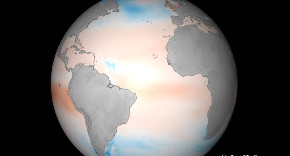 High-Resolution Mapping Reveals Carbon Sink Details – Marine Technology News