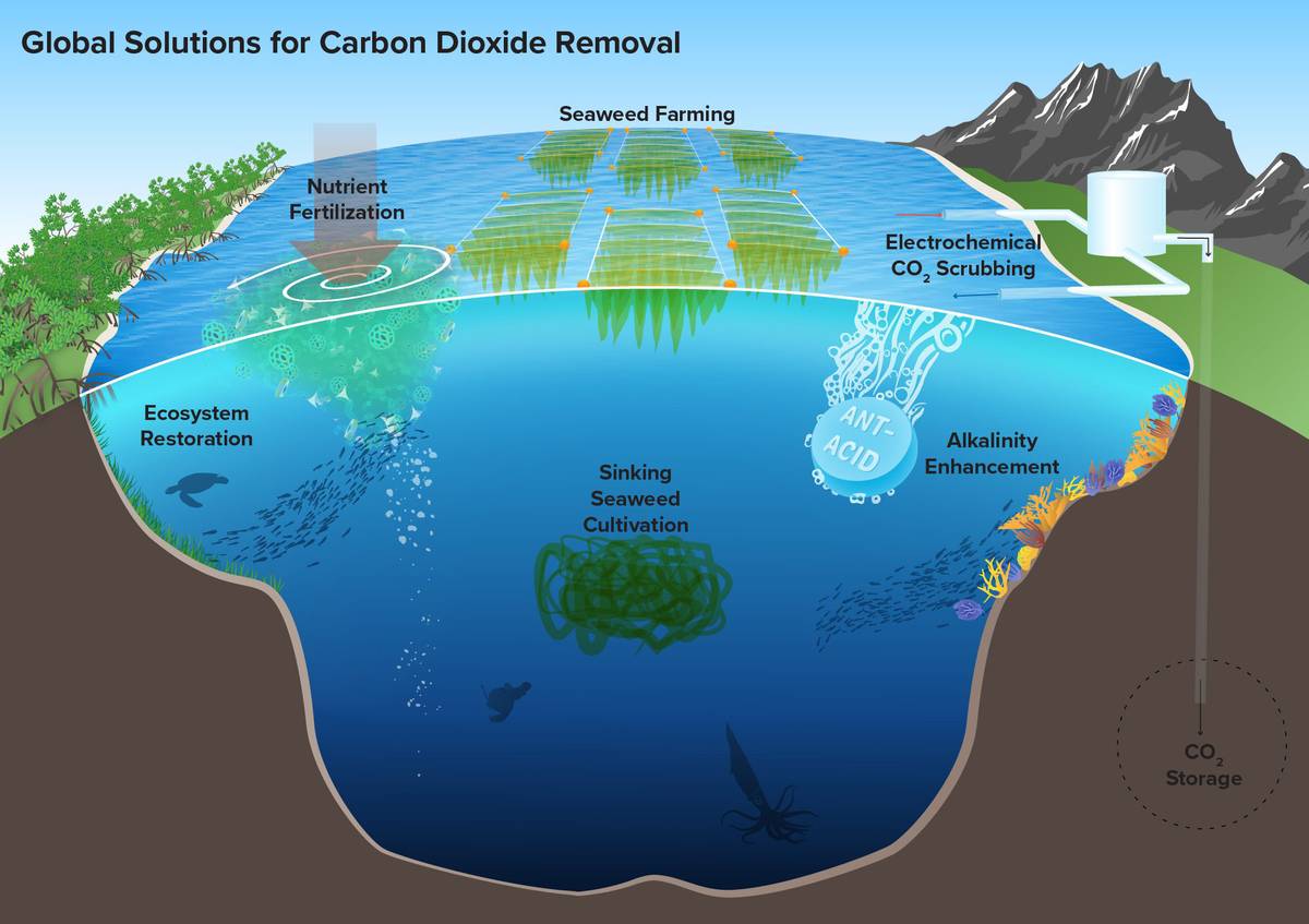 Coastal Restoration & Blue Carbon - Woods Hole Oceanographic Institution