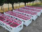 Legasea Launches Subsea Basket Rental Program
