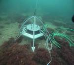 Teledyne участвует в неделях SeaSEC Challenge 2026: DATA2SEA