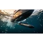 Bubble Robotics has received pre-seed funding for the development of its fleet of intelligent robotic systems capable of operating continuously at sea for months. Image courtesy Bubble Robotics