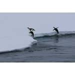 Photo: Scotty Lewis