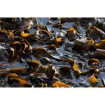 © Sebastian / Adobe Stock