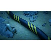 © Adobe Stock/Negro Elkha