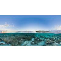 © Adobe Stock/The Ocean Agency