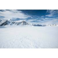 © Adobe Stock/Wayne