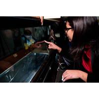 Anchal Sareen observes a 3D printed sphere suspended in a wind tunnel during testing. Image credit: Jeremy Little, Michigan Engineering