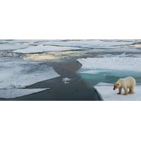 Arctic scene: Photo courtesy of UK Govt.