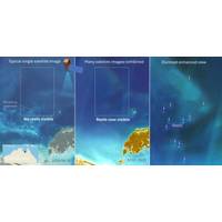 © Australian Institute of Marine Science