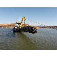 Barracuda in action - Algeria Photo Damen