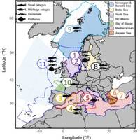 Basins or sub-basins (color-shaded areas) and model domains (contours and numbers). Fish silhouettes correspond to broad fish groups. Map lines delineate study areas and do not necessarily depict accepted national boundaries. Credit: PML