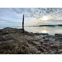 British sewage contaminates waterways and the oceans. Credit: Adobe Stock/cheekylorns