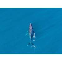 Copyright Sean/AdobeStock