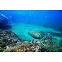 Copyright SerrNovik/stock.adobe.com - Image courtesy Seequent