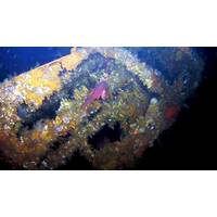 Coral-encrusted USS Abner Read stern wreckage. (Courtesy of Project Recover)