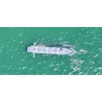 Credit Cellula Robotics Ltd