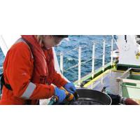 Credit: Fugro
