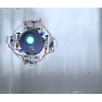 Credit: Gunnarson/Dabiri/Caltech