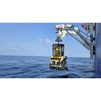 (Credit: Shearwater Geoservices)