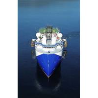 (Credit: Shearwater Geoservices)