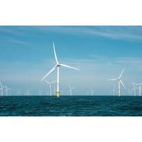 (Credit: Supplied by  Heriot-Watt University)