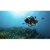 CUREE, an autonomous underwater robot, is used by the researchers to collect acoustic data for analysis. (Photo by Austin Greene, ©Woods Hole Oceanographic Institution)
