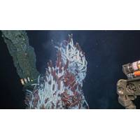 Data loggers deployed at hydrothermal vents on the East Pacific Rise record temperature of vent fluids every 10 minutes for up to a year. (Photo courtesy of Photo courtesy of Jill McDermott, Lehigh Univ.; WHOI, NDSF, Alvin Team; Funder: National Science Foundation. © Woods Hole Oceanographic Institution)