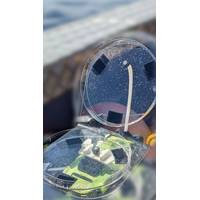 Dish with droplets of blow mounted on a small drone. (Photo by Amy Warren,
NEAq/WHOI, NMFS/NOAA Permit #21371)