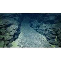 During the 2025 Deep-sea Habitats of the Cook Islands expedition on Exploration Vessel Nautilus the team surveyed various seascapes to better understand seabed environments, and natural and mineral resources in the region. In this image, polymetallic nodules rest on sediment accumulated in a depression between rounded pillows and extended lobate lava flows, which are evidence of ancient volcanoes. (Image credit: Courtesy of Ocean Exploration Trust)