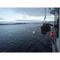 ASL Environmental Sciences Inc. announces the successful completion of an initial multi-week study to measure tidal currents in collaboration with the Nunatsiavut Government and Oceans North. Credit: ASL Environmental Sciences Inc.