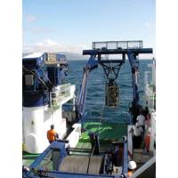 © FERRI S.A.