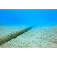 Finland's Cinia said submarine telecoms cable between Finland and Germany had been repaired. Credit: Adobe Stock/norimoto