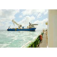 © I am from Mykolayiv / Adobe Stock