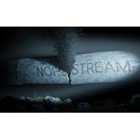 © guteksk7 / Adobe Stock