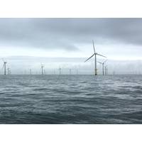 The Gwynt Y Mor wind farm. Photo from Rovco.