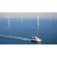 The Hollandse Kust Zuid wind farm. Image: Vattenfall