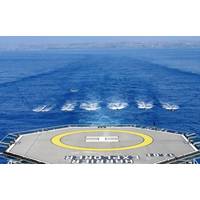 Illustration (Credit: SeaBird Exploration)