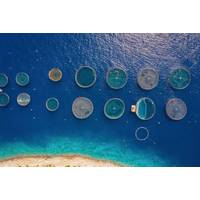 Illustration / Fish farm - Moofushi/AdobeStock