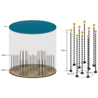Illustration of the P-ONE configuration: As shown on the left, seven clusters will constitute a one cubic kilometre detector. A single cluster with ten mooring lines is depicted on the right. (Picture: K. Holzapfel/Technical University of Munich)