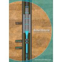 Image: Acoustic Data