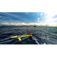 Image Courtesy Blue Ocean Monitoring