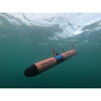 Image courtesy Blue Ocean Seismic Services