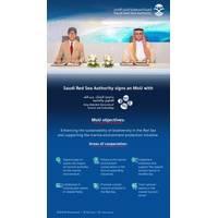 Image courtesy Saudi Red Sea Authority/KAUST