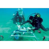 Image courtesy Teledyne RD Instruments (RDI)